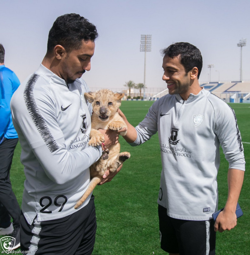 "Cheb" shows in the crescent of training in front of the Union