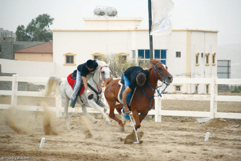 صورة التقطت أمس من منافسات بطولة التقاط الأوتاد (المركز الإعلامي ـ اللجنة المنظمة)