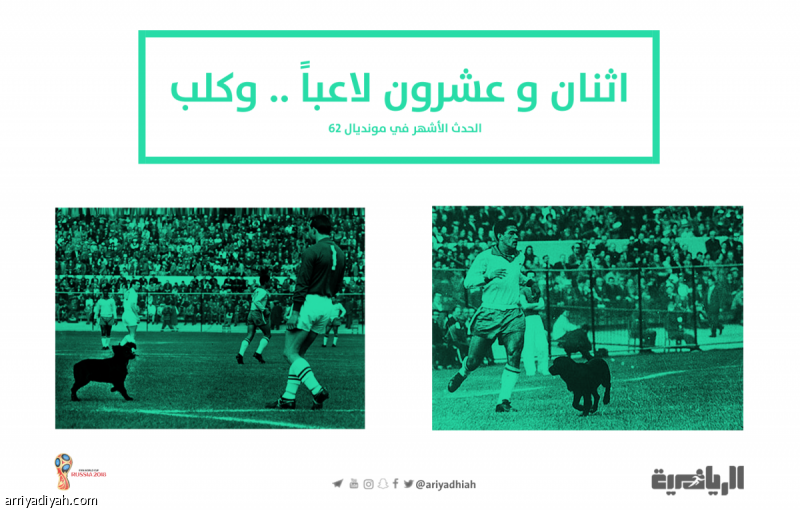اثنان وعشرون لاعبًا.. وكلب