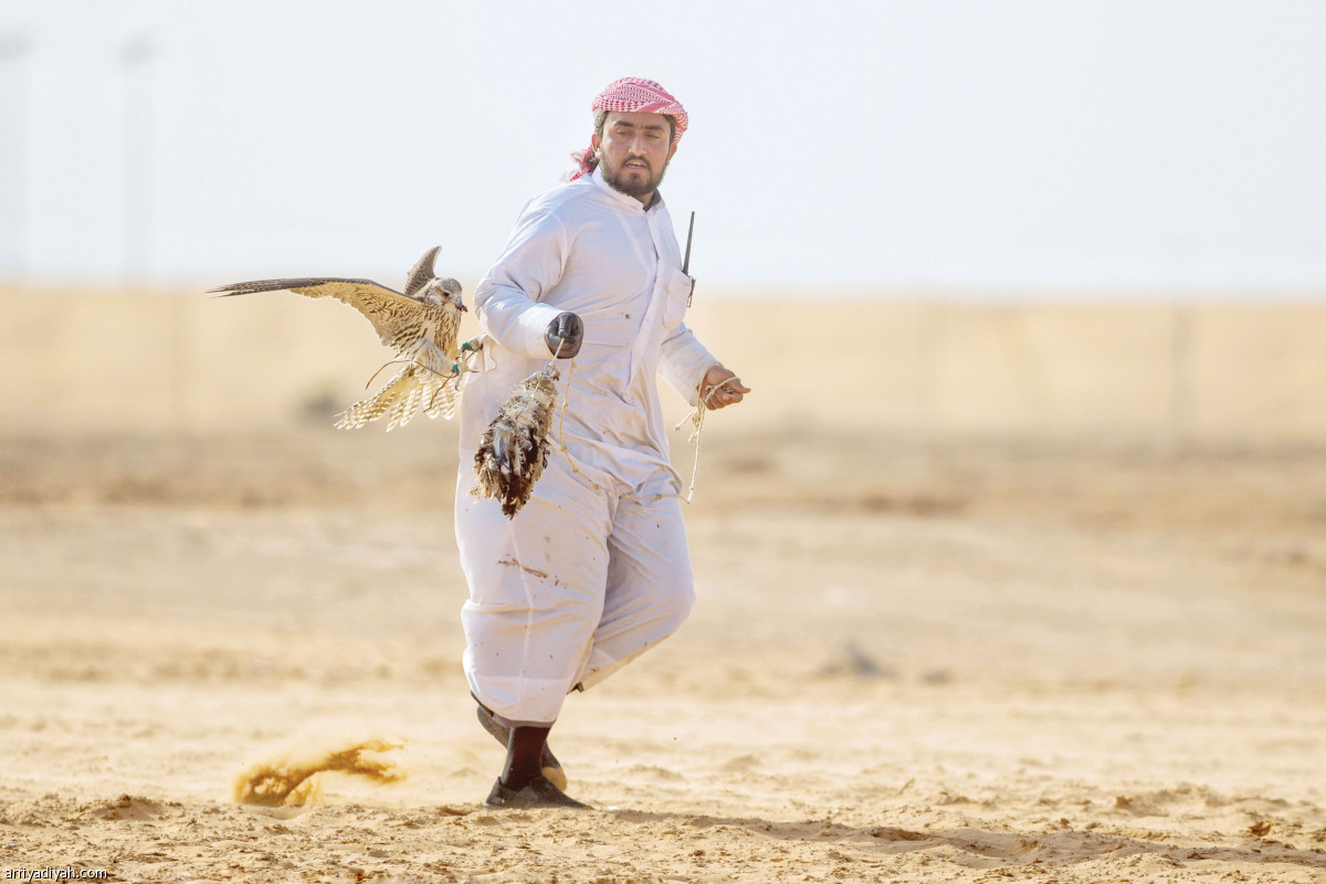 /media/article/2019/02/04/img/5672295987.jpg