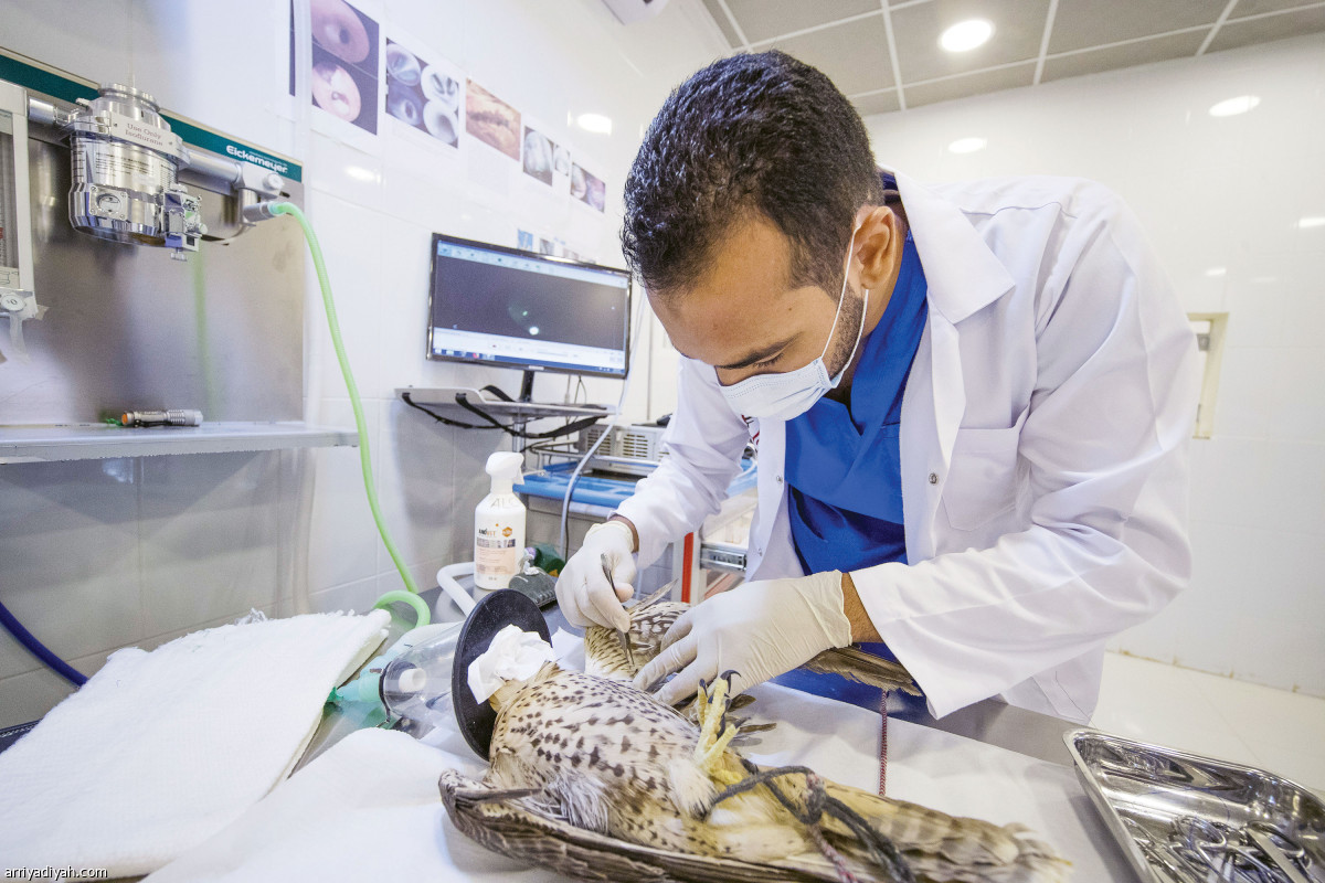 /media/article/2019/07/08/img/9193659139.jpg