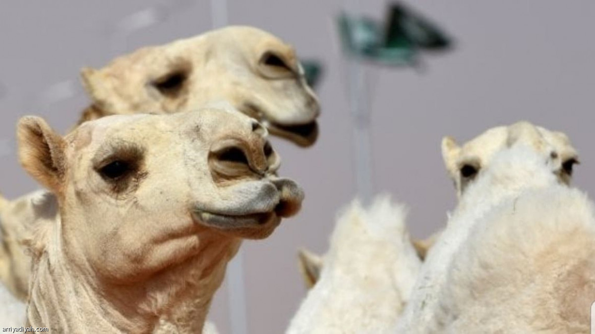 /media/article/2021/07/12/img/2198523178.jpg