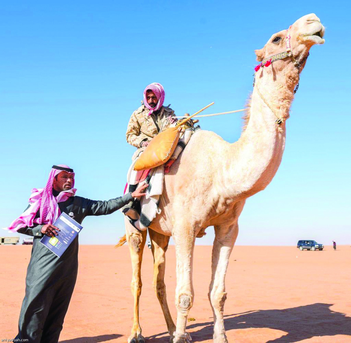 /media/article/2019/02/14/img/2069232733.jpg