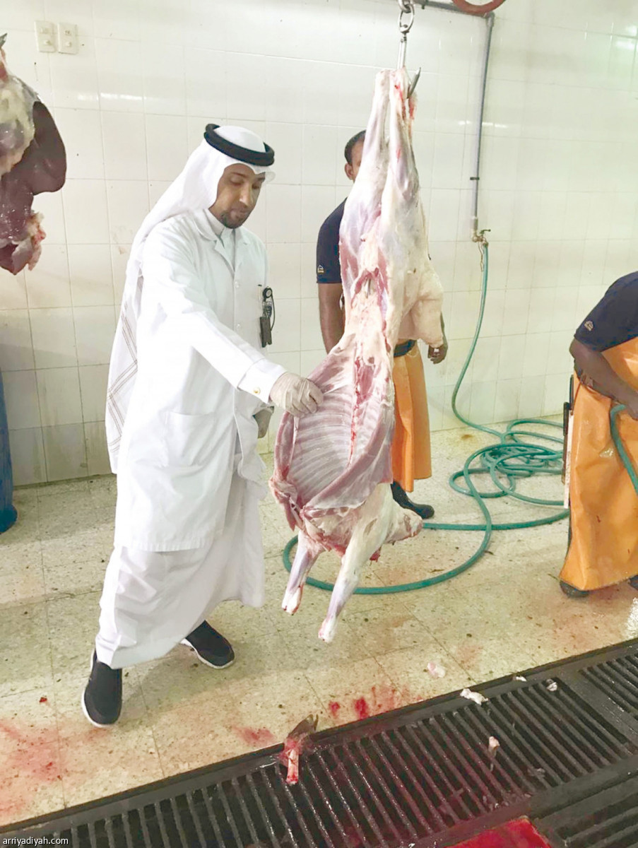 /media/article/2019/05/07/img/7747260398.jpg