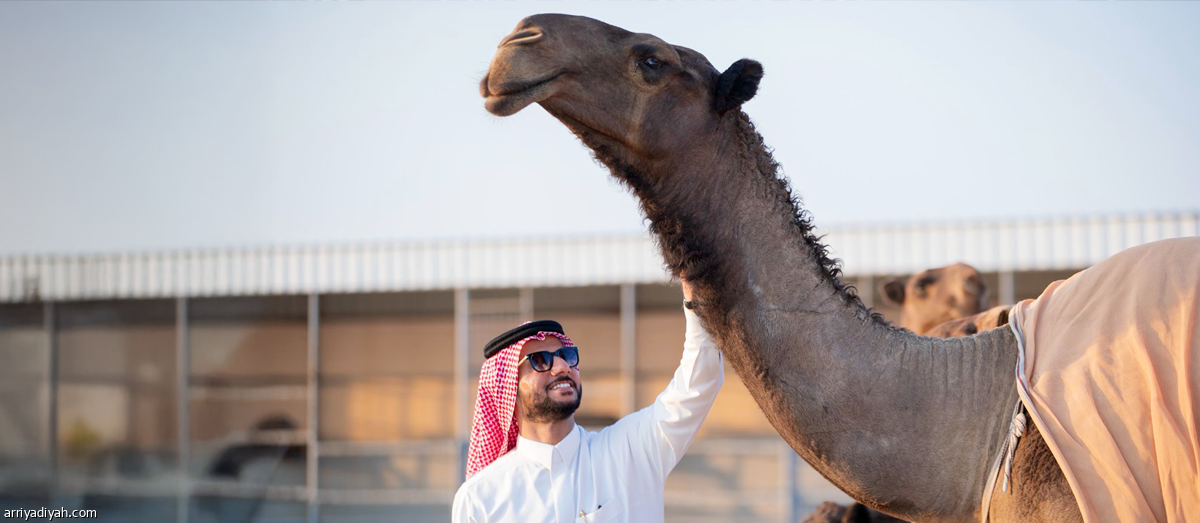 /media/article/2025/05/19/img/6884611795.png