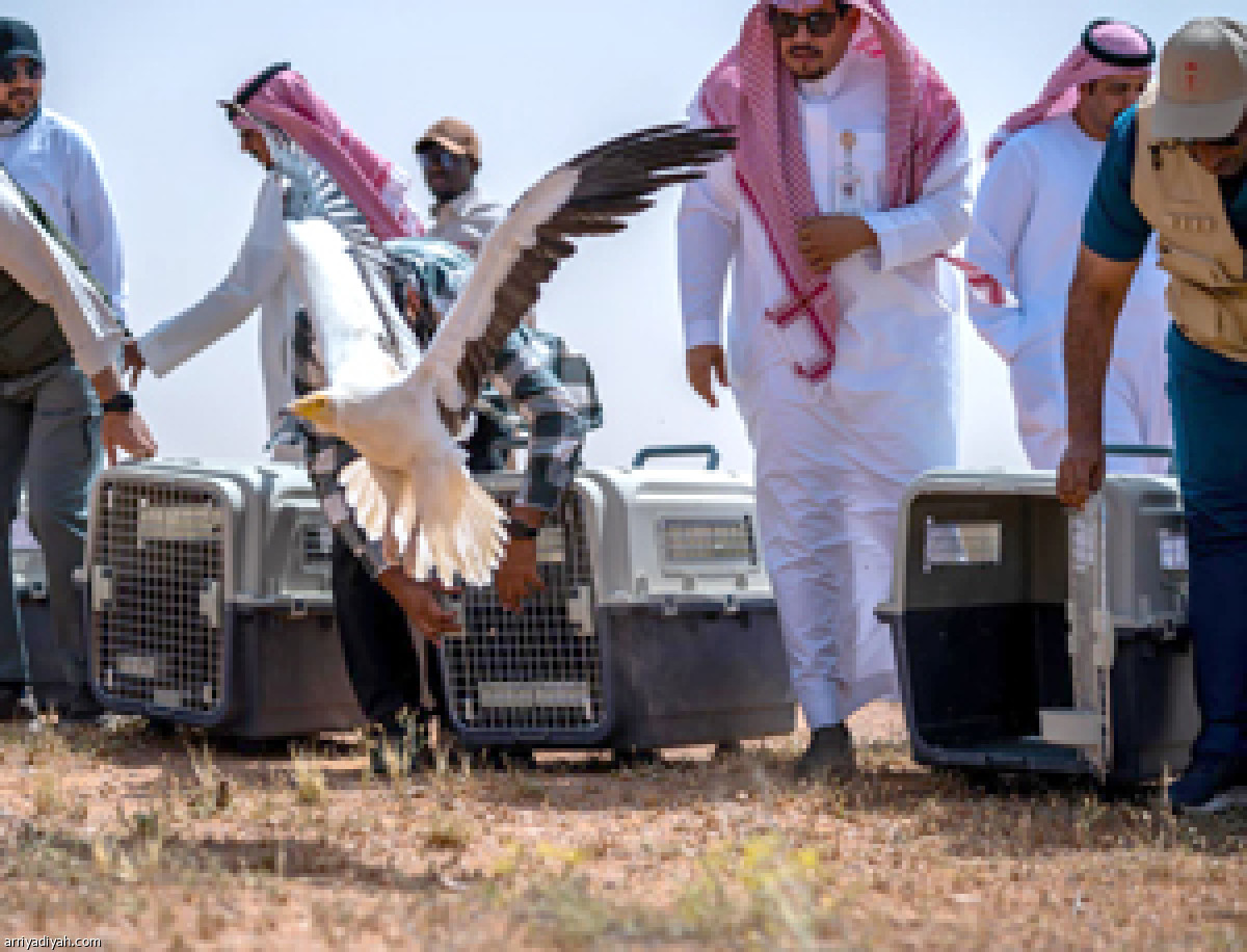 /media/article/2025/04/10/img/7882158499.jpg