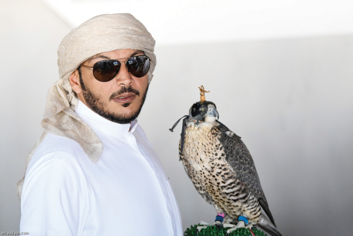 /media/article/2019/12/12/img/3996488931.jpg