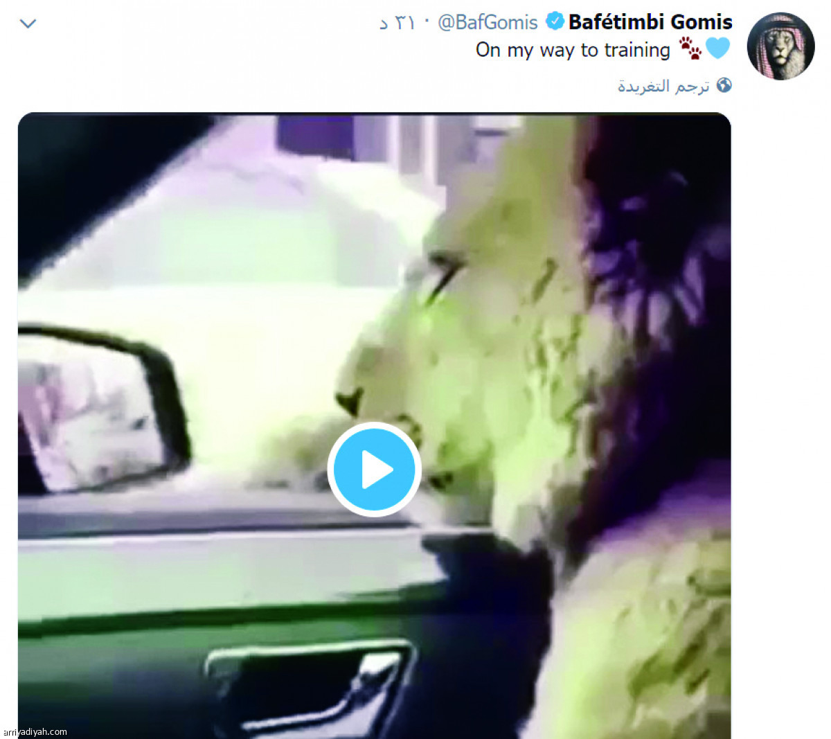 /media/article/2019/02/11/img/7597717840.jpg