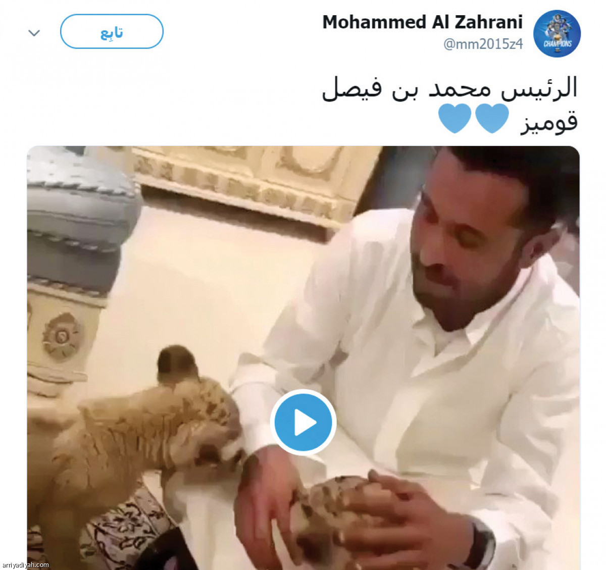 /media/article/2019/02/19/img/8161152880.jpg