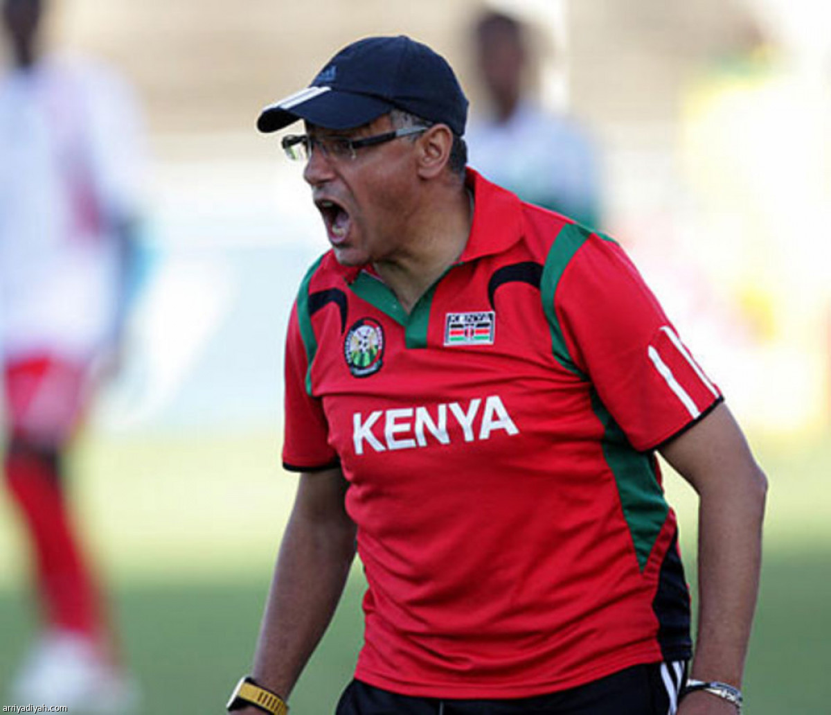 /media/iris/adel-amrouche-back-as-star-head-coach.jpg