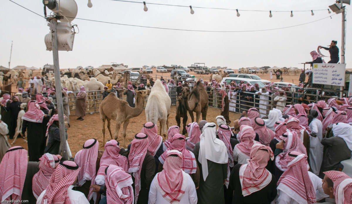 /media/article/2019/11/11/img/6631146538.jpg