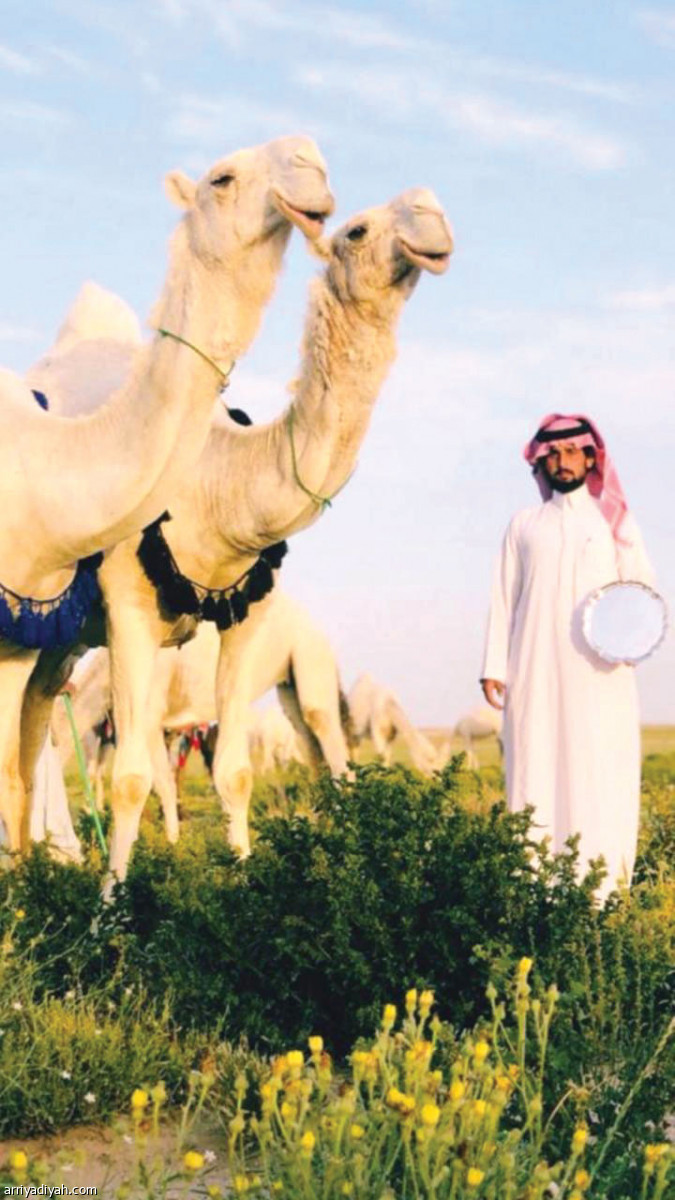 /media/article/2019/04/01/img/7415106692.jpg