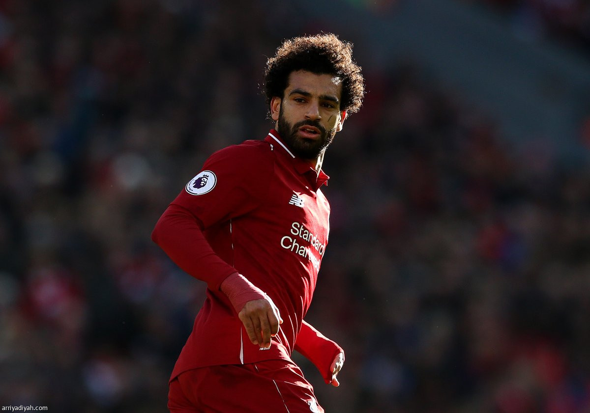/media/article/2019/02/09/img/7203628034.jpg