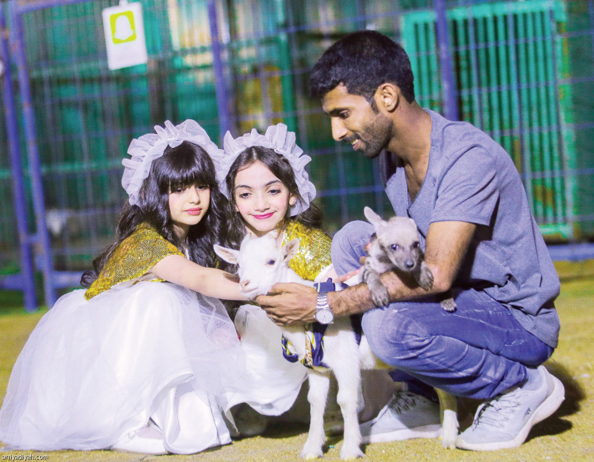 /media/article/2019/07/27/img/6570124469.jpg