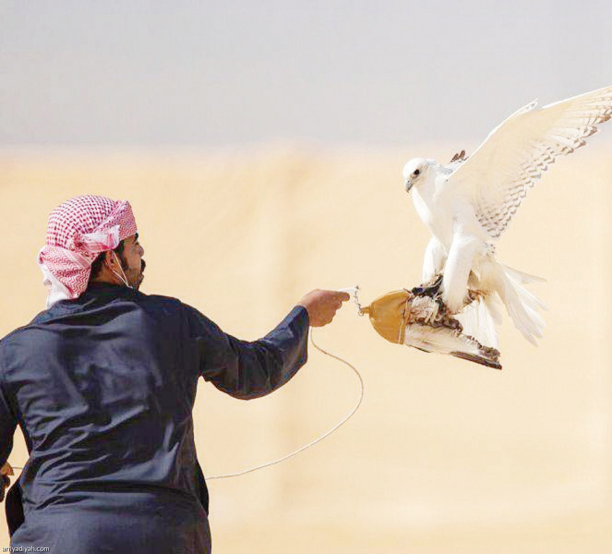 /media/article/2021/02/15/img/9731560797.jpg