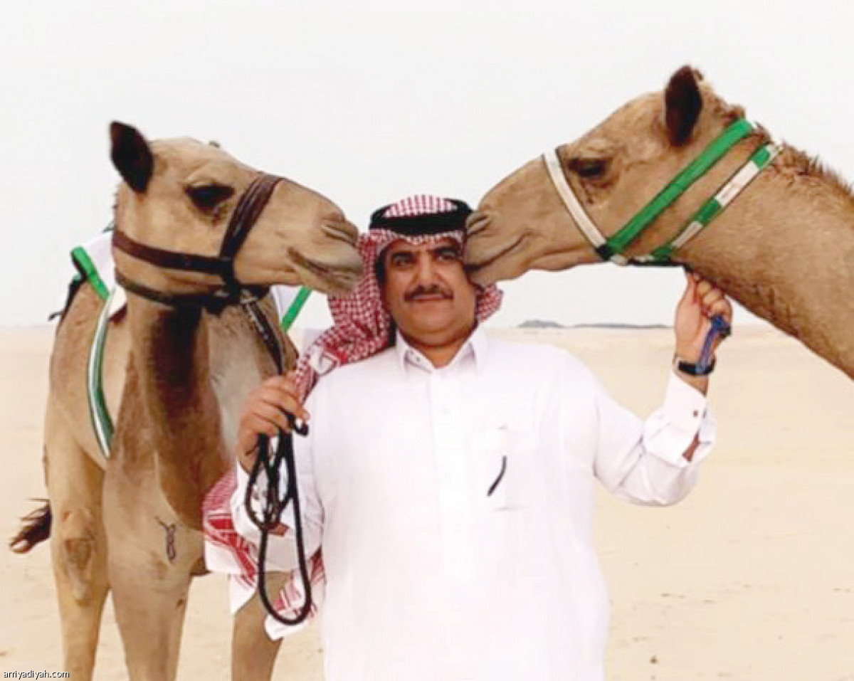 /media/article/2019/07/22/img/3886995221.jpg