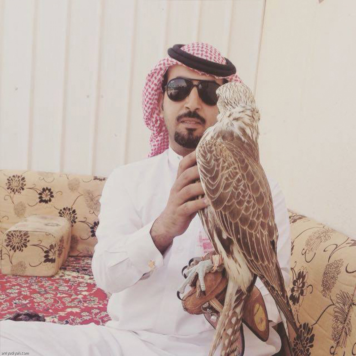 /media/article/2018/11/12/img/9000867819.jpg
