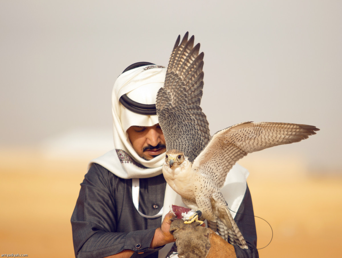 /media/article/2019/01/31/img/1152793016.jpg