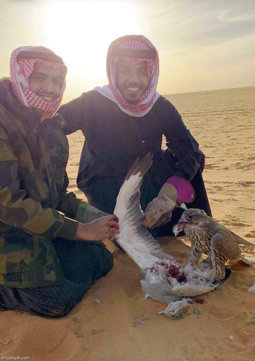 /media/article/2019/01/14/img/7893670736.jpg