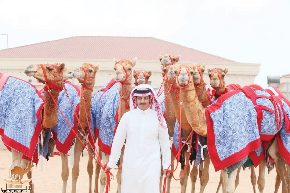 /media/article/2019/09/11/img/4871810899.jpg
