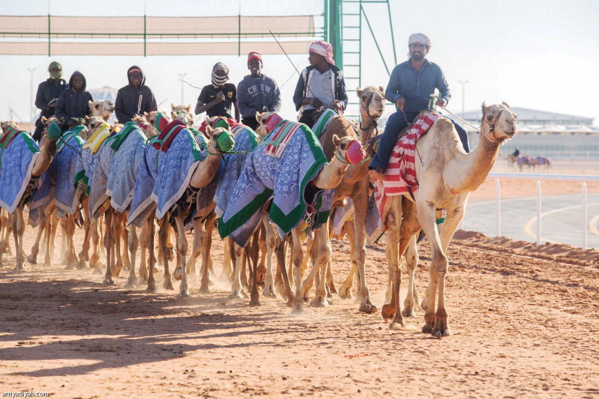 /media/article/2019/03/10/img/2820281132.jpg