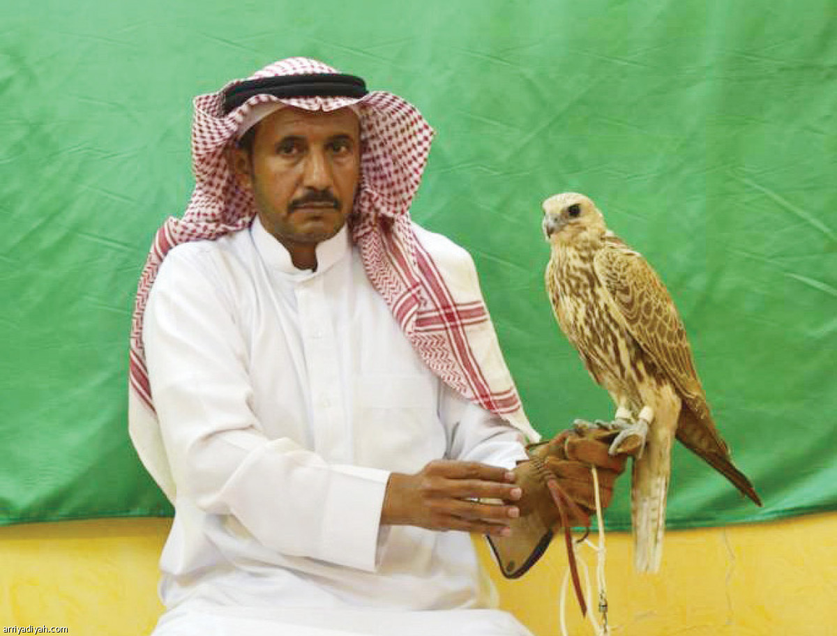 /media/article/2019/11/04/img/8252354413.jpg