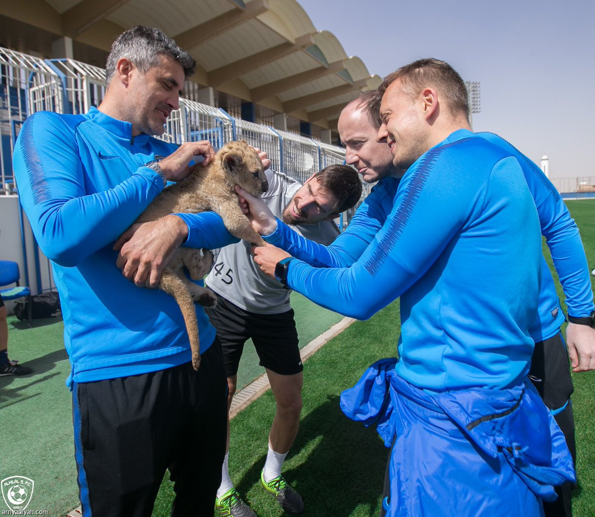 /media/article/2019/02/19/img/1827184925.jpg