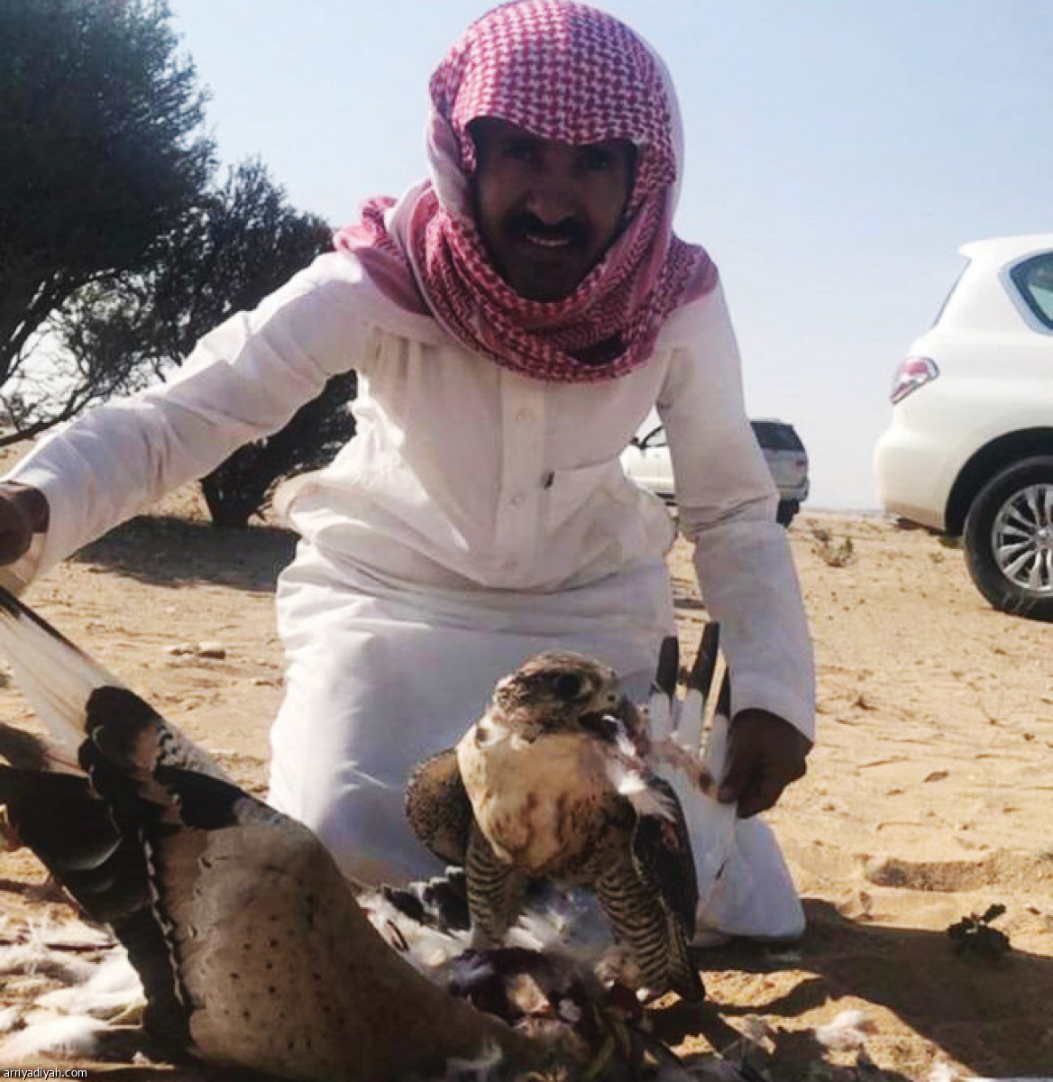 /media/article/2019/11/11/img/4535619987.jpg