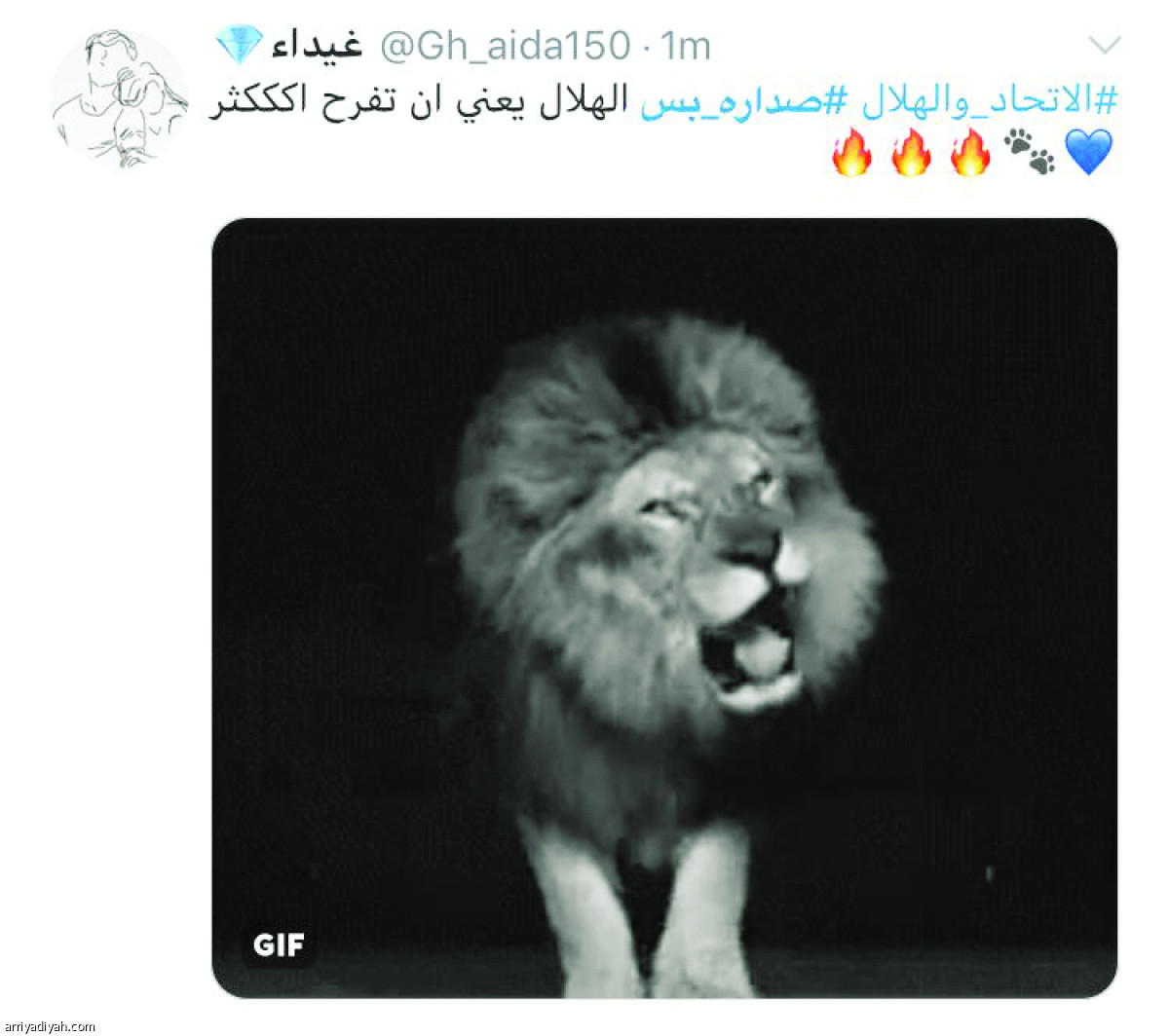/media/article/2019/02/22/img/2078468667.jpg
