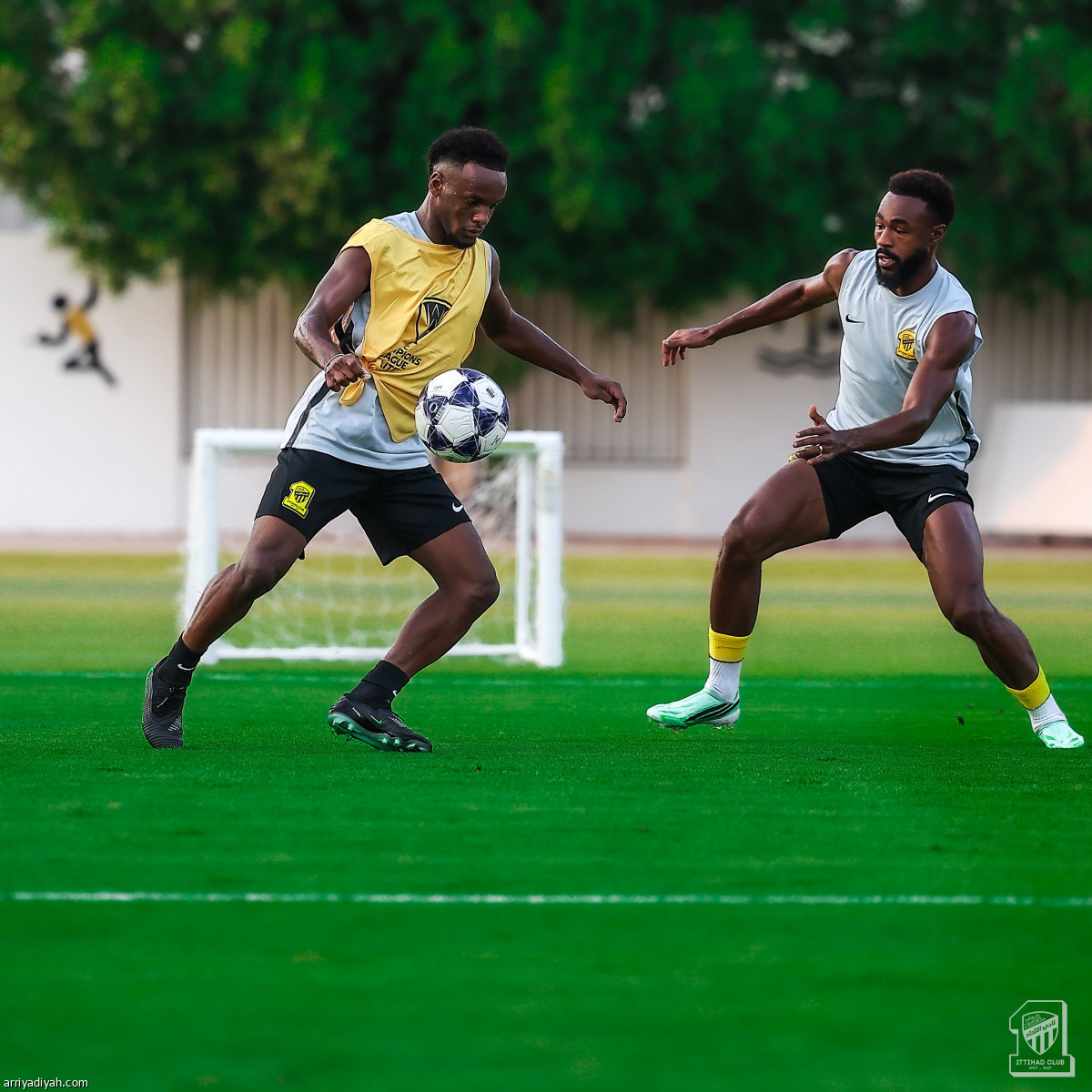 الاتحاد جاهز