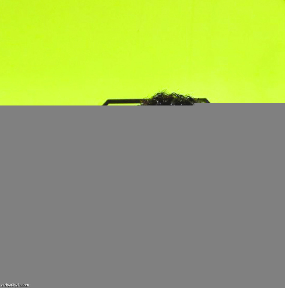 رينارد 
يعيد اكتشاف الدوليين السابقين