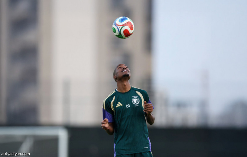 الزبيدي خارج حسابات الفتح