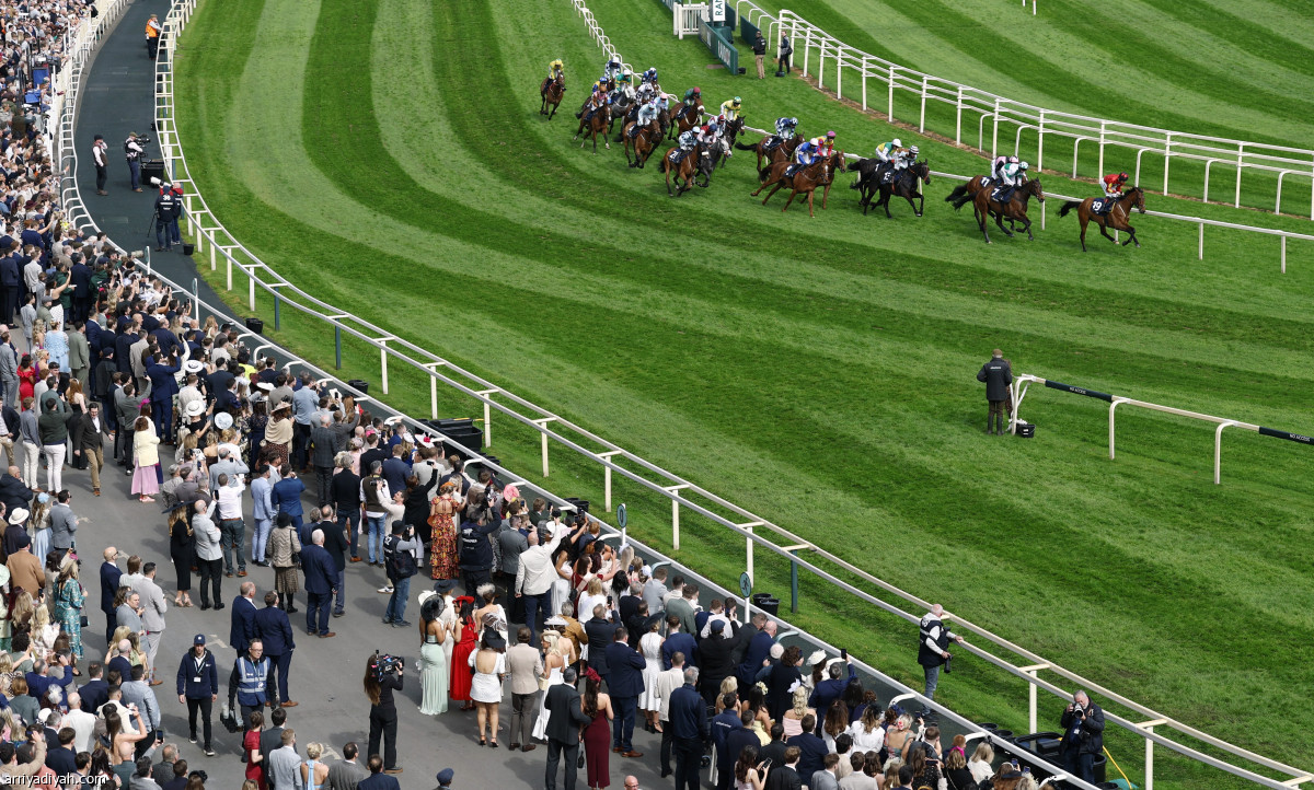 مهرجان الخيول