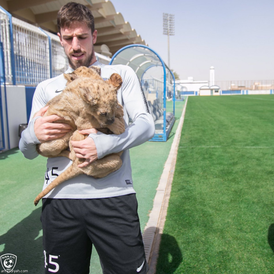 «شبل» يظهر في تدريبات الهلال قبل الاتحاد