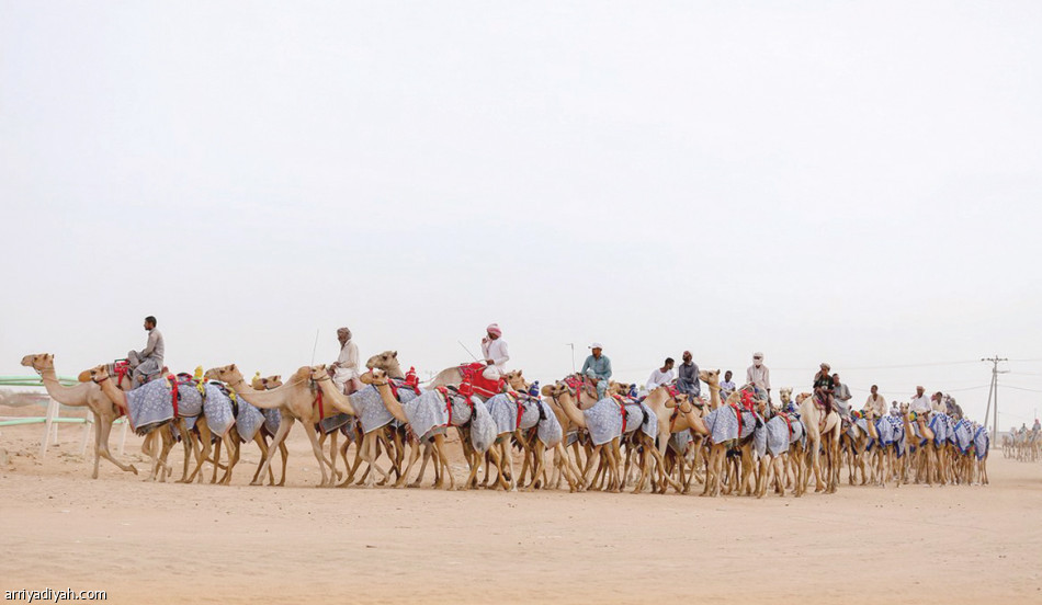 تنشيطية الهجن
تفتتح مهرجان ولي العهد