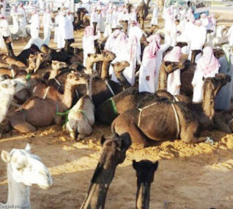 أسواق الإبل