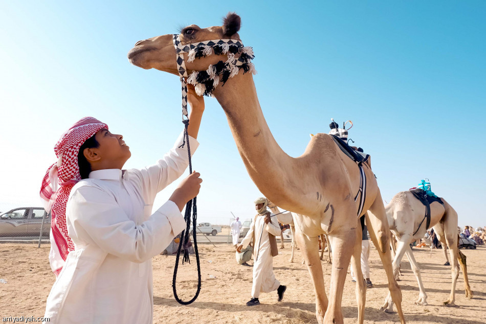 «غيث»..
بطل الشوط السادس