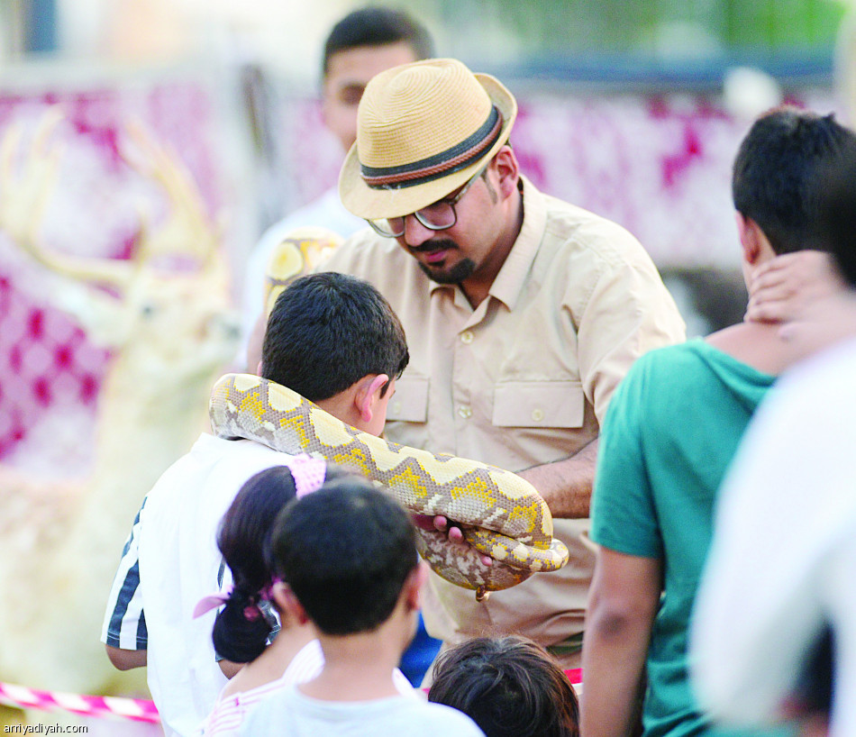 مباراة الـ 8
تعيد الفتح