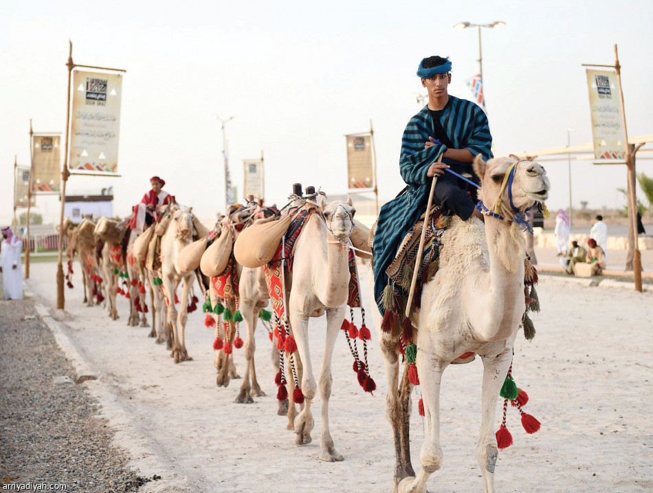 «ركايب» 
تنطلق بـ 100 مغامر