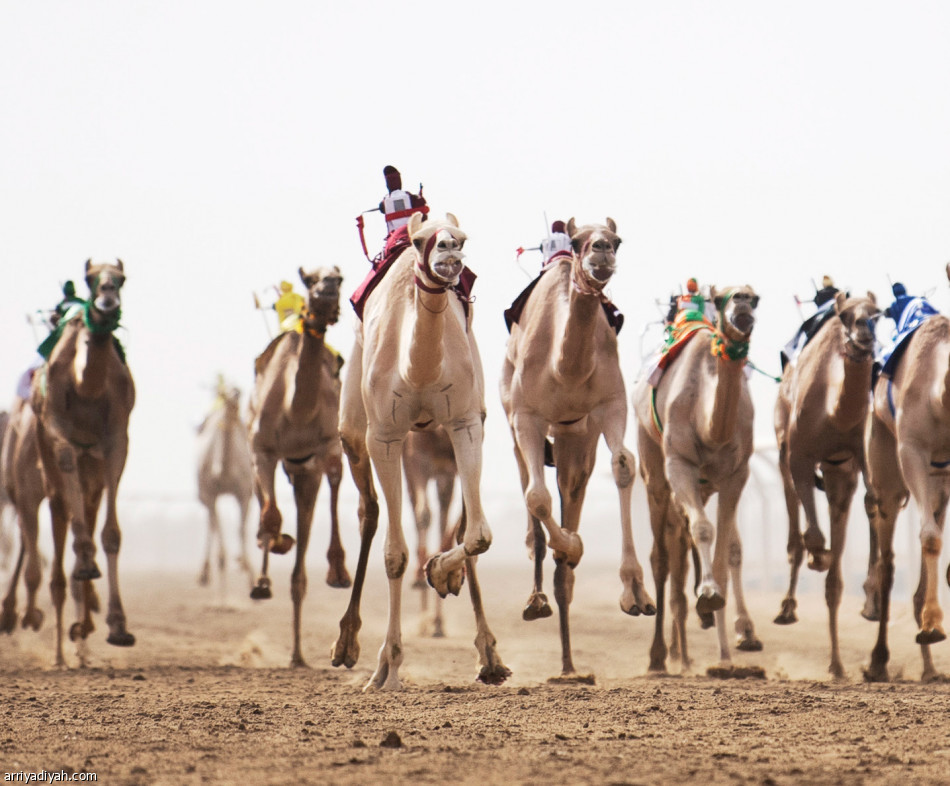 مهرجان ولي العهد..
انتصارات خليجية