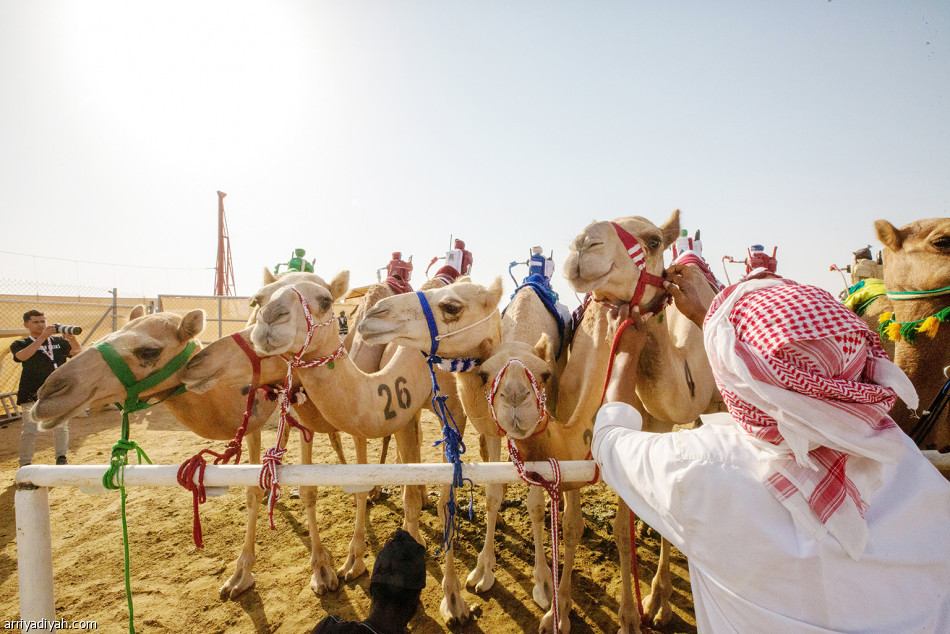 «سيوف»..
انتقال ملكية
وتوقيت أسرع