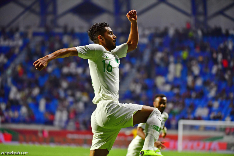 الصقور يحلقون إلى دور الـ 16