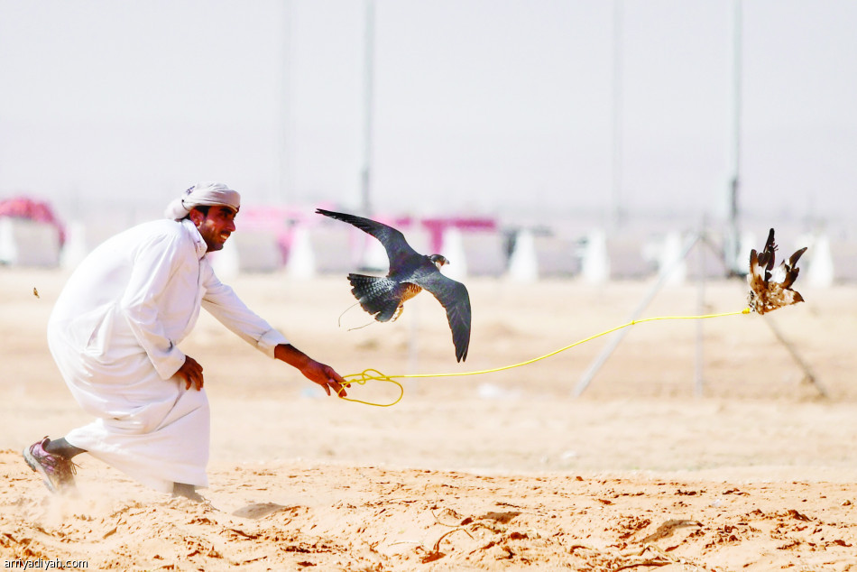 الإمارات
تهيمن على الدولية