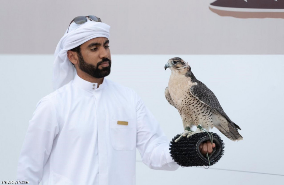 International Falconers: Das King Abdulaziz Festival ist anders
