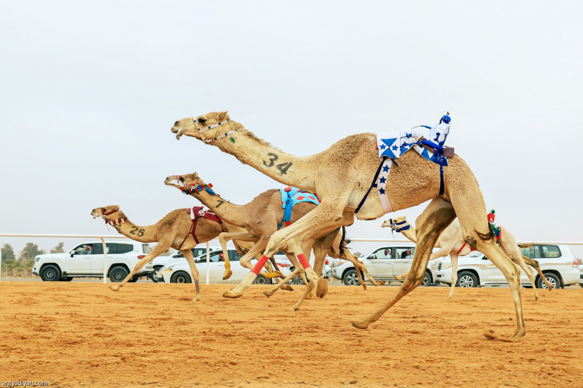 انطلاق المنافسات