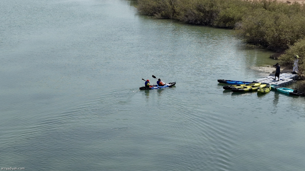 التجديف بالكاياك