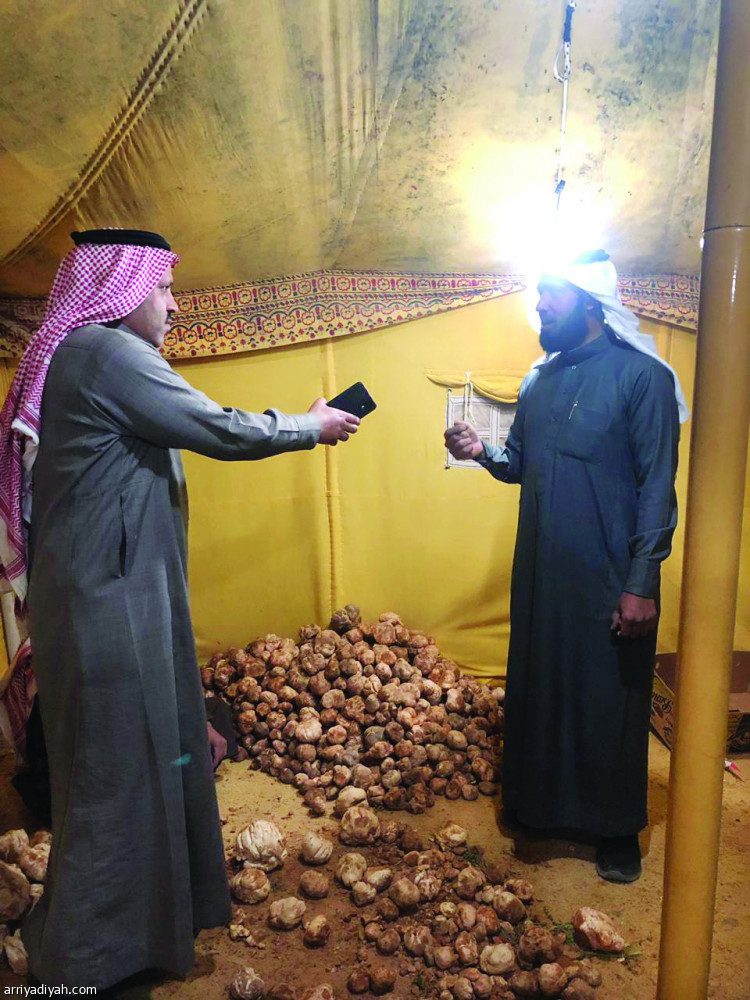 صورة التقطت لبدر العنزي تاجر الكمأ يتحدث مع الزميل أنور قمقوم