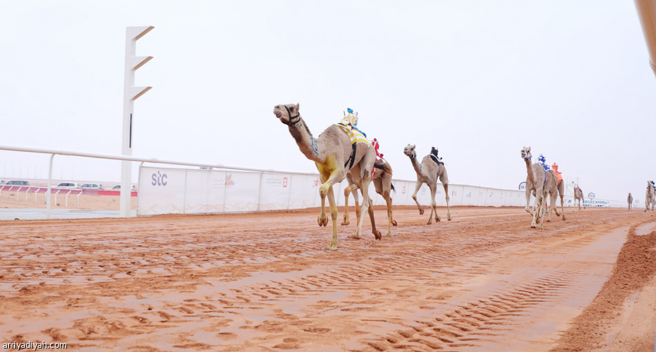 «سمارات»
الناموس بـ 200 مليون