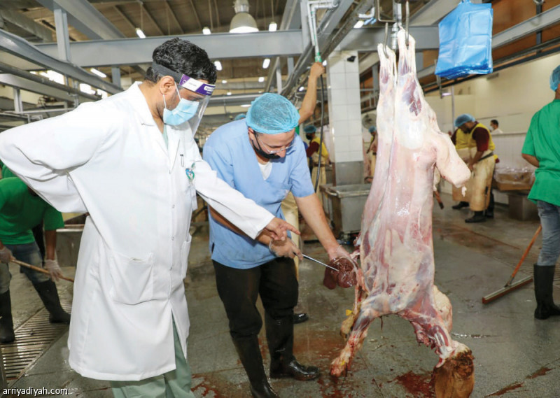 صورة التقطت أمس لطبيب بيطري يفحص أضحيةً بعد ذبحها في احد المسالخ في مدينة الرياض بمناسبة عيد الأضحى (المركز الإعلامي ـ أمانة الرياض)