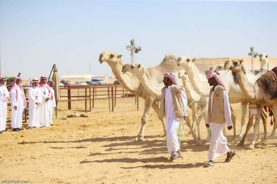 فهد بن سلطان يرعى الحفل الختامي